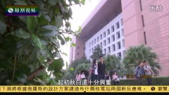 女同合集在线播放,合集在线播放，共赴心灵之旅