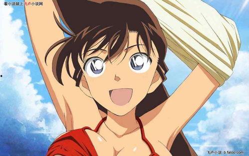 小兰姐姐爆料视频全集,揭秘幕后真相与精彩瞬间