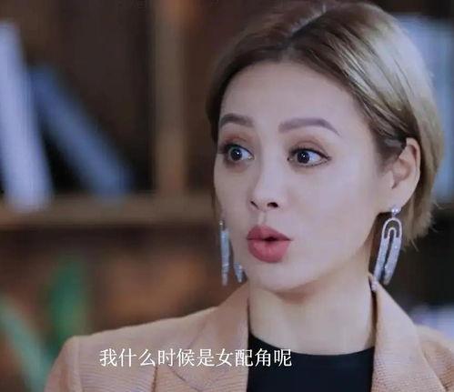 日本电影皮鞭,揭示人性与欲望的残酷交响曲