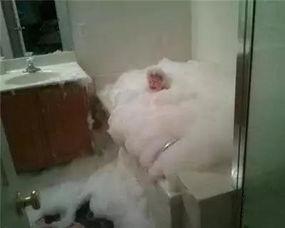 日本妈妈邪恶图片,揭秘日本妈妈邪恶图片背后的真相与反思