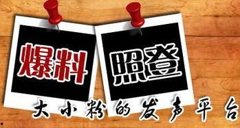 新闻爆料全部,新闻爆料背后的真相与影响