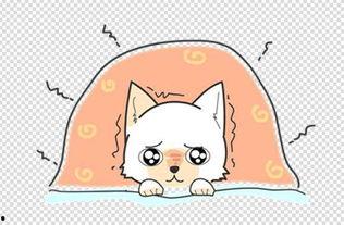 老公要和我肛交我害怕,我该如何克服恐惧？