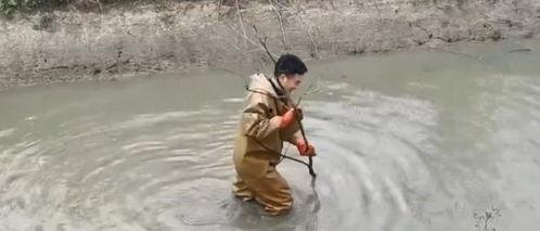 捉鳖视频,捉鳖高手现场教学，一招制胜！