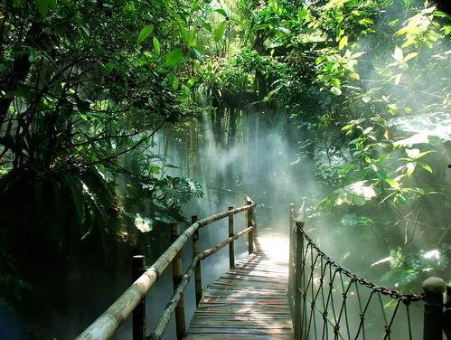 青青世界背景视频,梦幻仙境的奇幻之旅