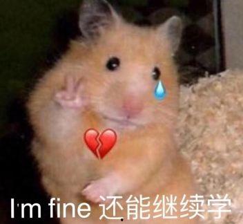 日本动图表情,趣味横生的表情包世界