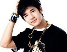 马里奥泰国明星,明星风采闪耀泰国娱乐界