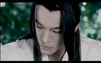 苏恭视频,揭秘历史人物传奇人生