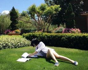 明星草坪图片,绿意盎然，星光熠熠的休闲胜地